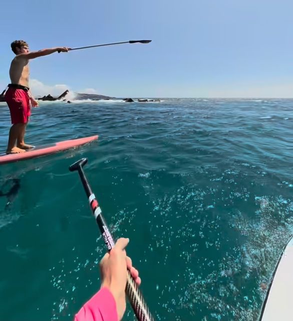 Dos riders remando mar adentro; uno señala con el remo hacia dónde ir